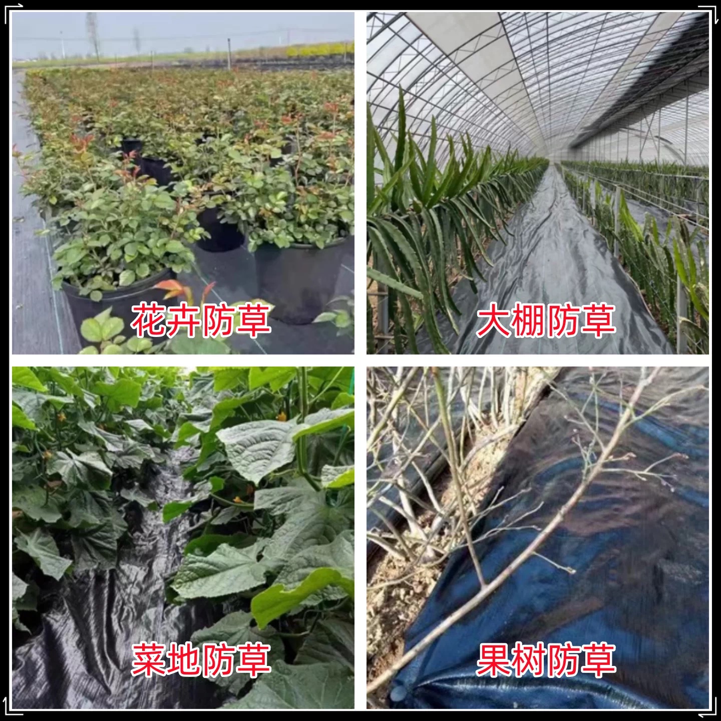兰州市农用薄膜防草布 - 一站式服务